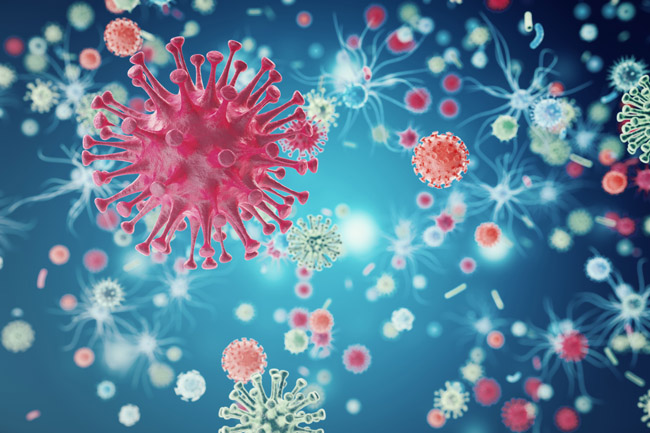 Resources/2/Anti-infective.jpg