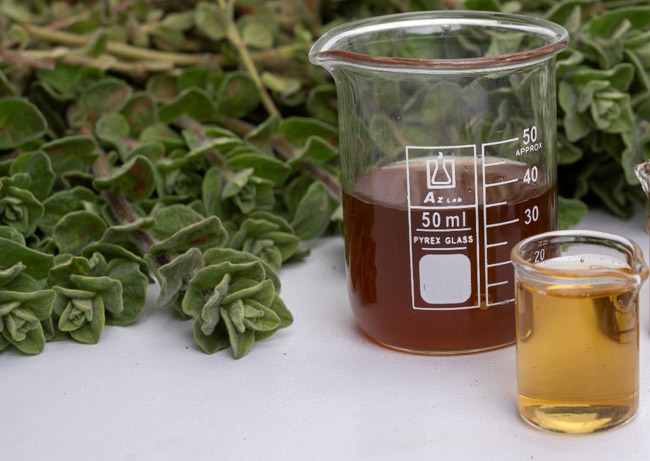 Resources/2/Natural-Products.jpg