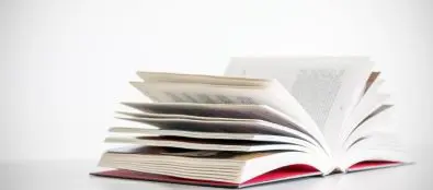 Book Chapters